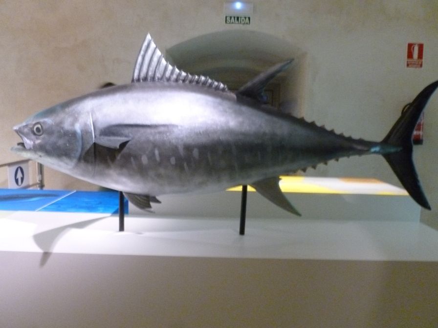 Atún