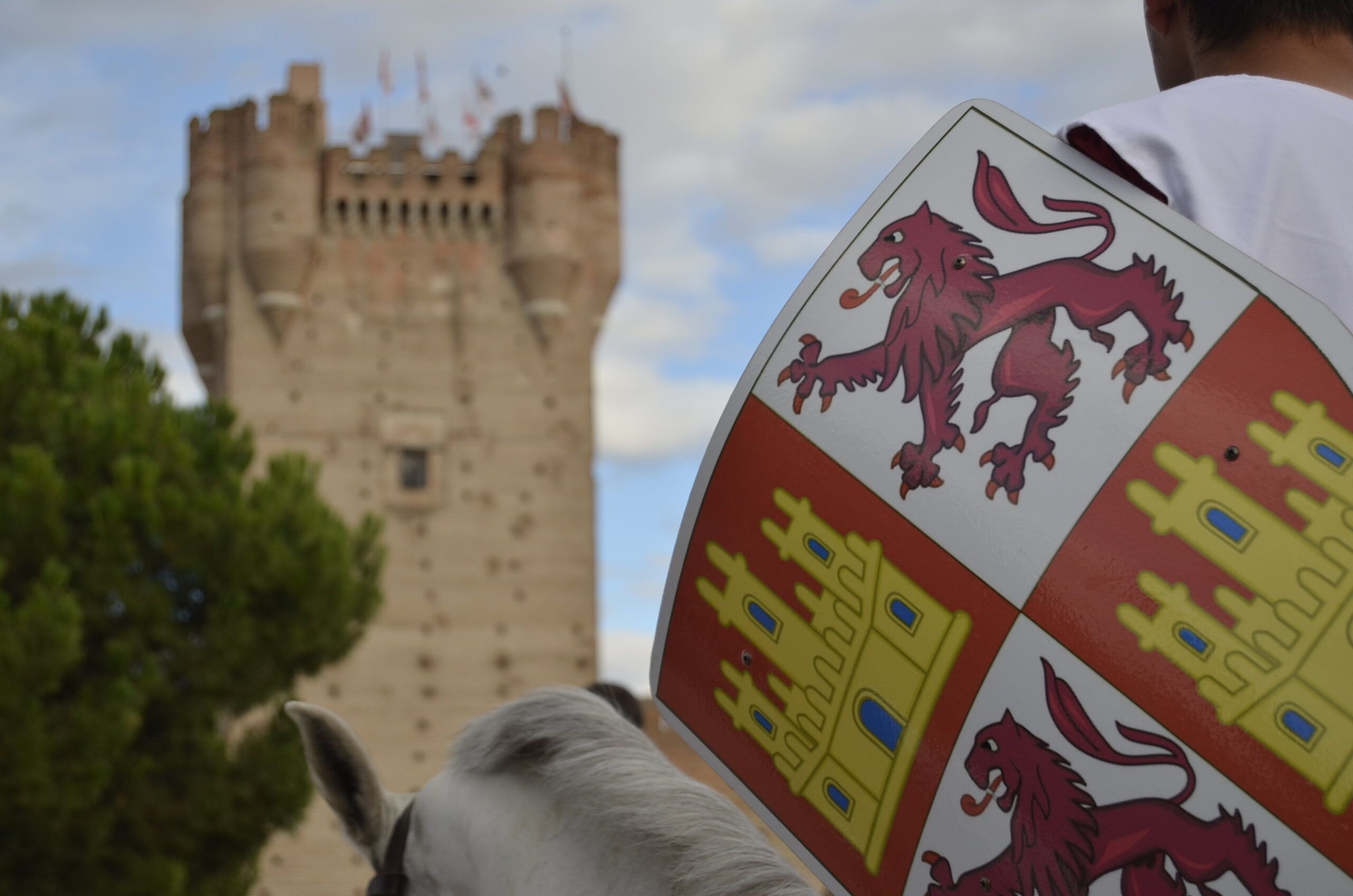 Castillo de la Mota