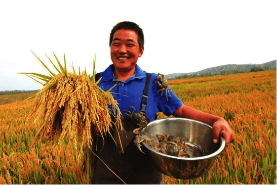 China establece una hoja de ruta para un desarrollo agrícola verde