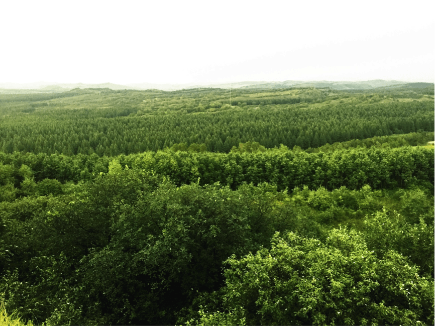 La supervisión del medio ambiente en China obliga a la optimización de la estructura económica local