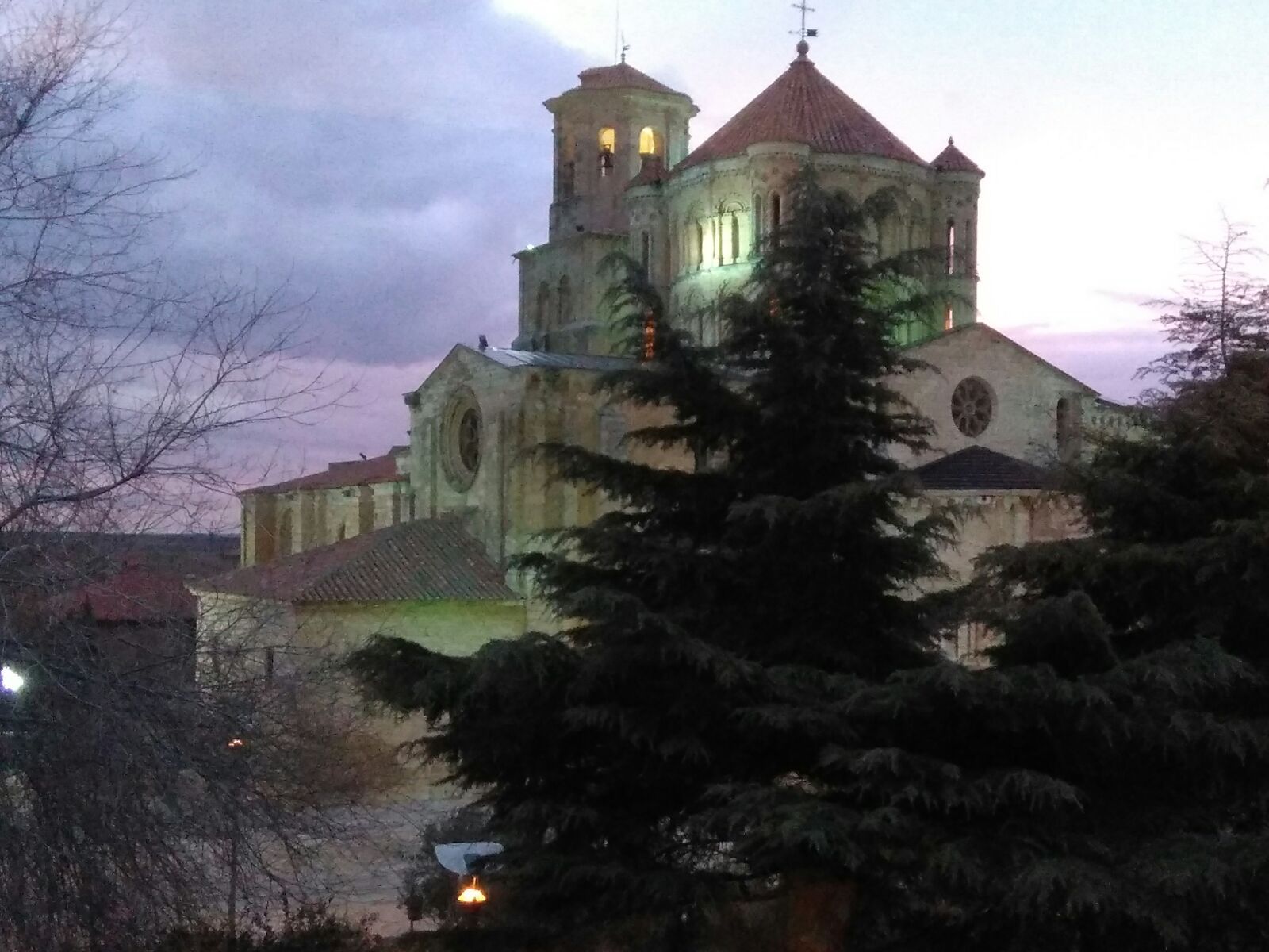 TORO Colegiata