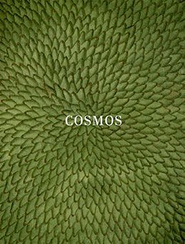 Cosmos Catálogo