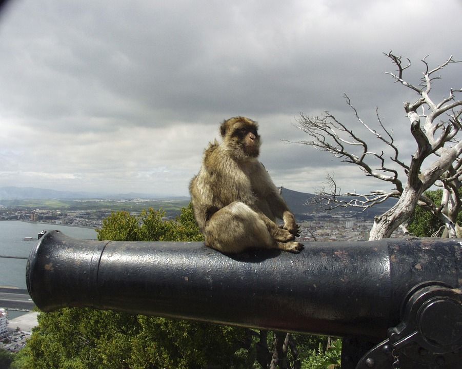 Gibraltar