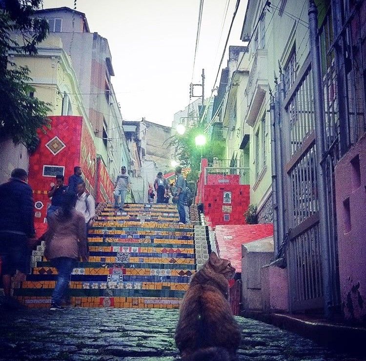 Lapa, Río de Janeiro