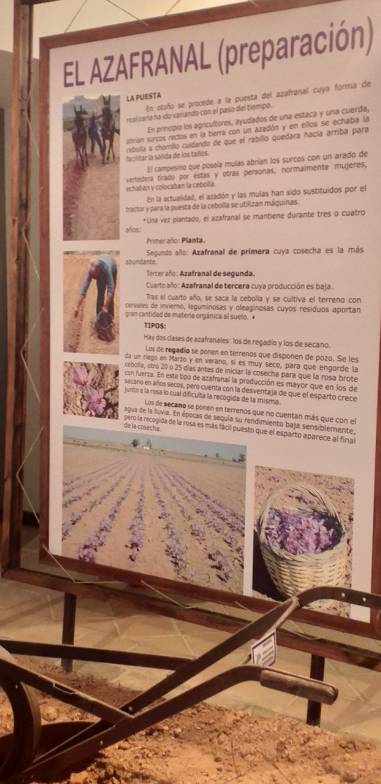 Museo del Azafrán y Etnográfico