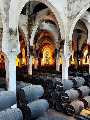Bodega Mezquita El Fundador
