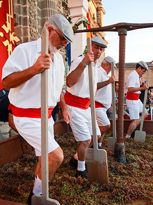 Fête des vendanges à Jerez de la Frontera