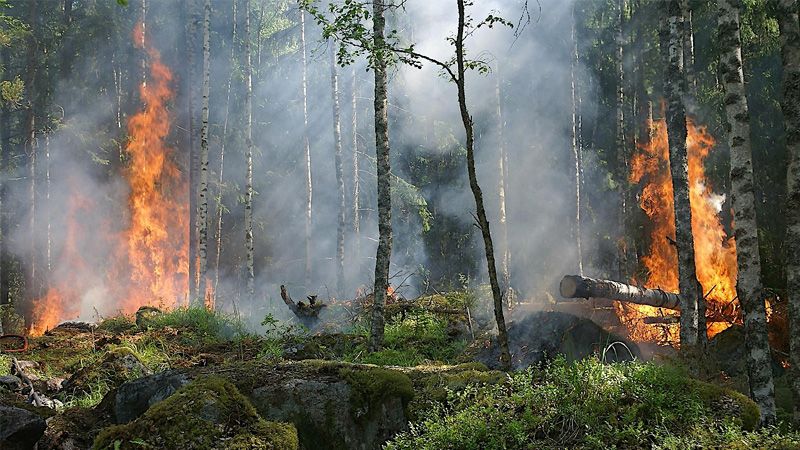 El fuego no empieza con una chispa